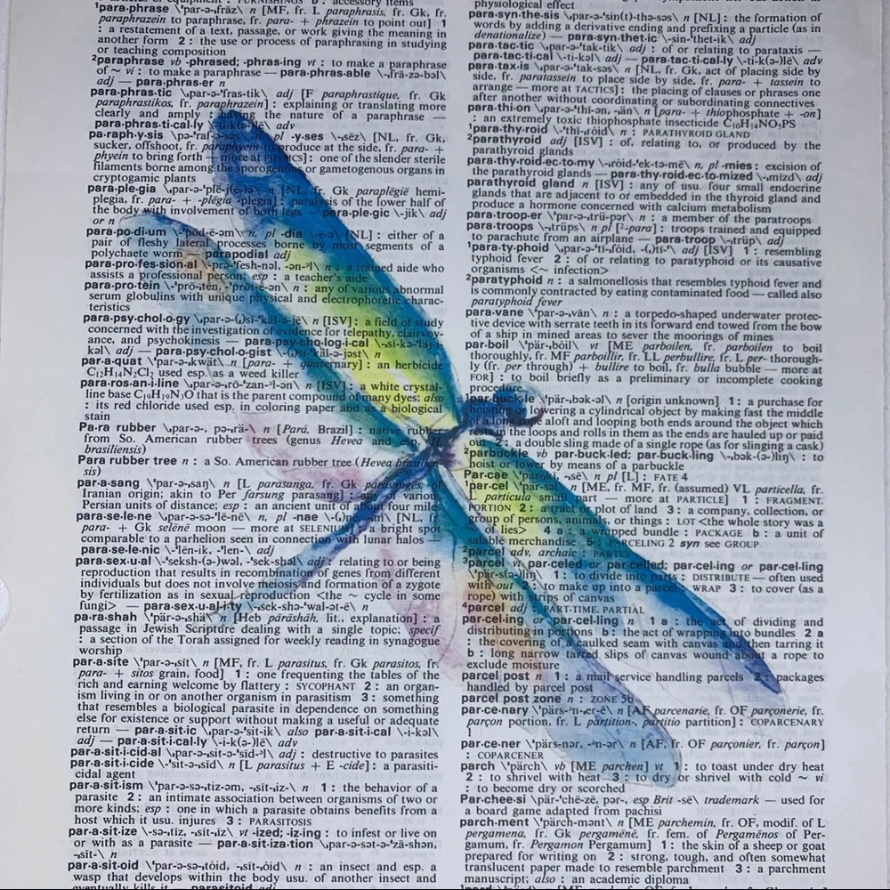 Dictionary Art Print Dragonfly, Vintage Art Print